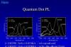QNED主要是品牌术语这就是Quantomdot纳米细胞发光二极管