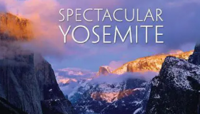 如果您一直在使用Beta版并且不想再使用您可以恢复到Yosemite