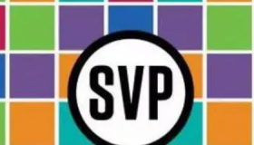 SVP支持硬件加速的视频解码但实际的帧率转换非常占用CPU