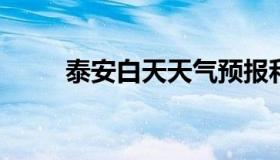 泰安白天天气预报和夜间天气预报