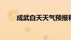 成武白天天气预报和夜间天气预报