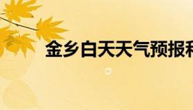 金乡白天天气预报和夜间天气预报