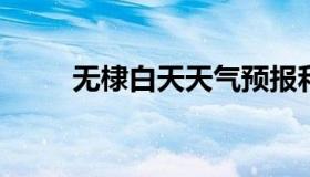 无棣白天天气预报和夜间天气预报