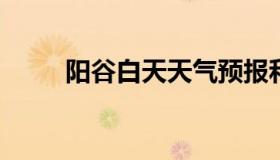 阳谷白天天气预报和夜间天气预报