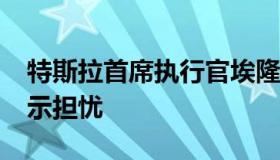 特斯拉首席执行官埃隆·马斯克对人工智能表示担忧