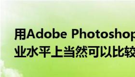 用Adobe Photoshop或者GIMP的人 在专业水平上当然可以比较