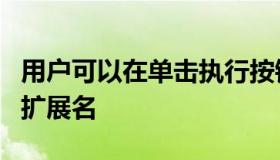 用户可以在单击执行按钮之前自定义文件名和扩展名