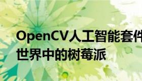 OpenCV人工智能套件它将成为计算机视觉世界中的树莓派