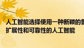 人工智能选择使用一种新颖的鲁棒性度量来产生一个更具可扩展性和可靠性的人工智能