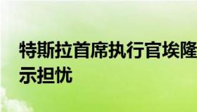 特斯拉首席执行官埃隆·马斯克对人工智能表示担忧