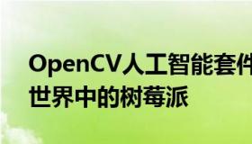 OpenCV人工智能套件它将成为计算机视觉世界中的树莓派