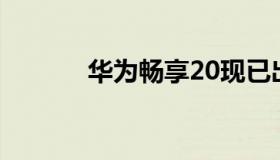 华为畅享20现已出现实时图像