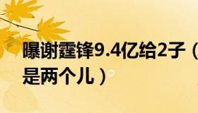 曝谢霆锋9.4亿给2子（全部财产基金受益人是两个儿）