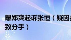 曝郑爽起诉张恒（疑因参加节目矛盾被激发导致分手）