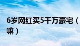 6岁网红买5千万豪宅（网友直呼我6岁时在干嘛）