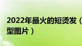 2022年最火的短烫发（2022年流行短发烫发型图片）