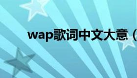 wap歌词中文大意（wap歌词释义）