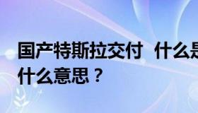 国产特斯拉交付  什么是国产特斯拉？交付是什么意思？