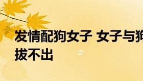 发情配狗女子 女子与狗发生性行为下体卡住拔不出