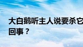 大白鹅听主人说要杀它被气吐血 具体是怎么回事？