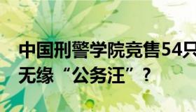 中国刑警学院竞售54只淘汰受训犬 它们为何无缘“公务汪”?