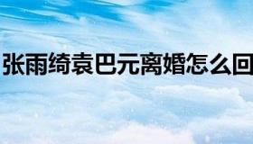 张雨绮袁巴元离婚怎么回事？袁巴元个人资料