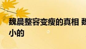 魏晨整容变瘦的真相 魏晨的方形脸是怎么变小的