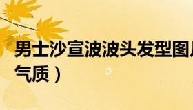 男士沙宣波波头发型图片（演绎出都市潮男的气质）