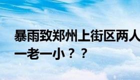 暴雨致郑州上街区两人死亡 什么情况？竟是一老一小？？