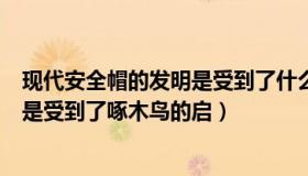 现代安全帽的发明是受到了什么动物的启发（安全帽的发明是受到了啄木鸟的启）