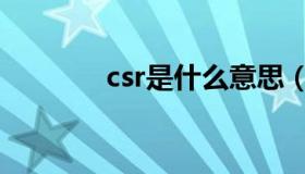 csr是什么意思（csr的含义）