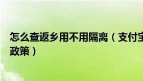 怎么查返乡用不用隔离（支付宝怎么查询全国各地返乡隔离政策）