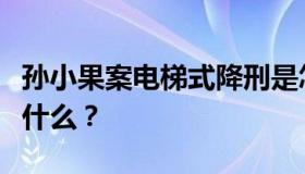 孙小果案电梯式降刑是怎么回事？事情经过是什么？