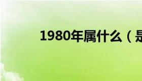 1980年属什么（是怎么规定的）