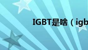 IGBT是啥（igbt什么意思）