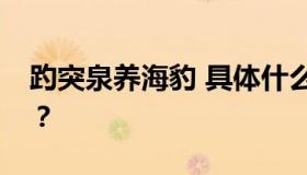 趵突泉养海豹 具体什么情况？趵突泉在哪里？