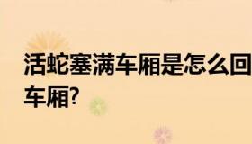 活蛇塞满车厢是怎么回事?活蛇为什么会塞满车厢?