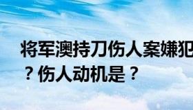 将军澳持刀伤人案嫌犯被捕 事件经过是什么？伤人动机是？