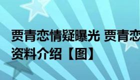 贾青恋情疑曝光 贾青恋爱对象是谁?贾青个人资料介绍【图】