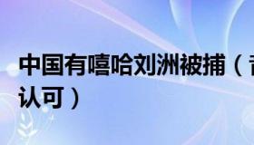 中国有嘻哈刘洲被捕（音乐才华曾获得众明星认可）