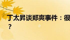 丁太昇谈郑爽事件：很恶劣 到底是怎么回事？