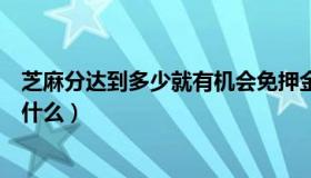 芝麻分达到多少就有机会免押金使用神州租车（神州租车是什么）