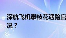 深航飞机攀枝花遇险官方报告 具体是什么情况？