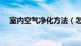 室内空气净化方法（怎么净化室内空气）