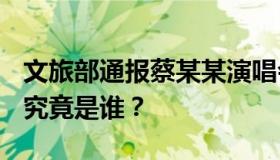 文旅部通报蔡某某演唱会违规演出 “蔡某某”究竟是谁？