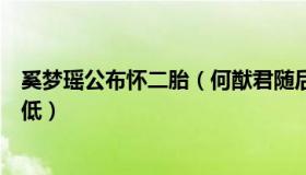 奚梦瑶公布怀二胎（何猷君随后表现自己的家庭地位又要降低）