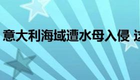 意大利海域遭水母入侵 这是什么场面？【图】