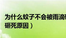 为什么蚊子不会被雨滴砸死（蚊子不会被雨滴砸死原因）