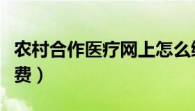 农村合作医疗网上怎么缴费（医疗怎么网上缴费）