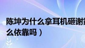 陈坤为什么拿耳机砸谢霆锋（难道陈坤有着什么依靠吗）